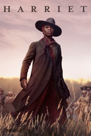 Harriet (2019) Hindi Dual Audio – 480p
